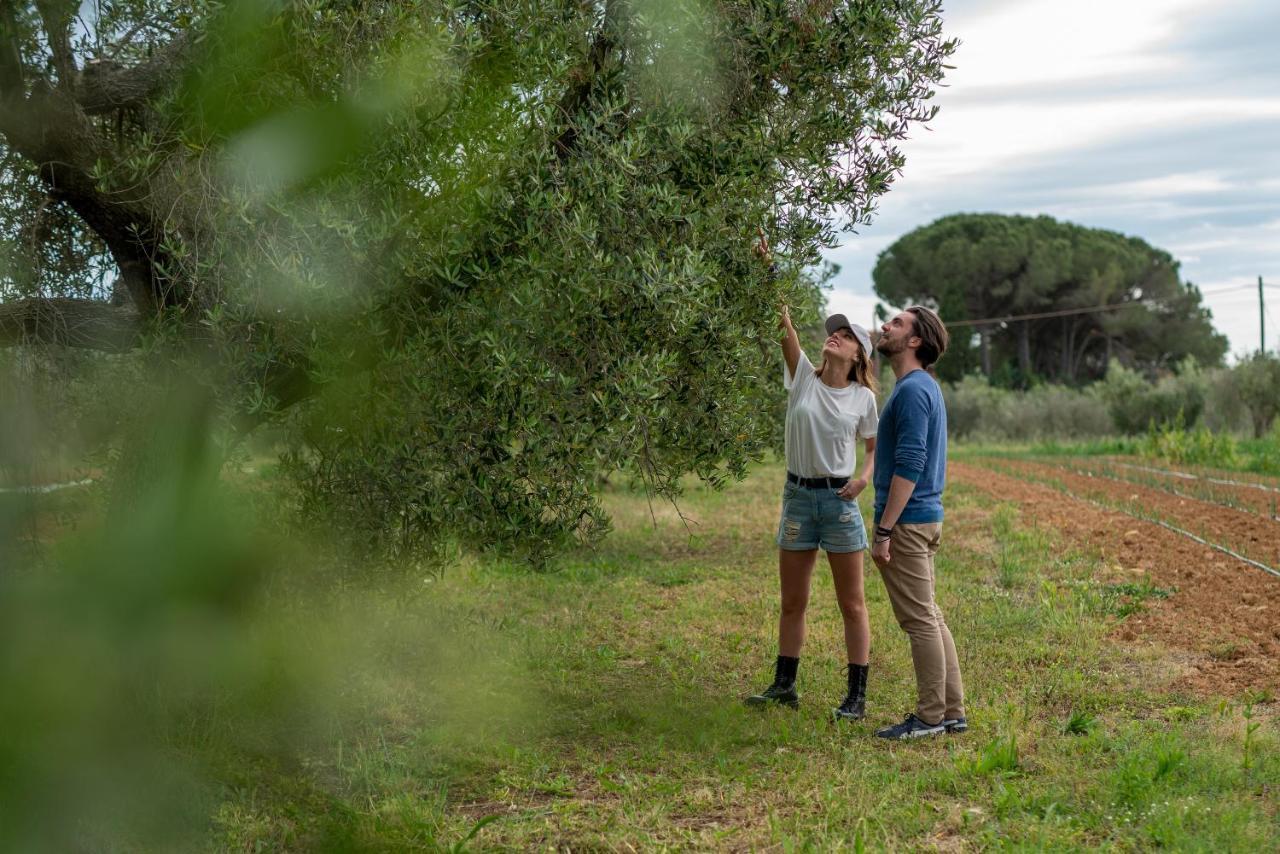 Agriturismo La Banchella Scarlino Bagian luar foto
