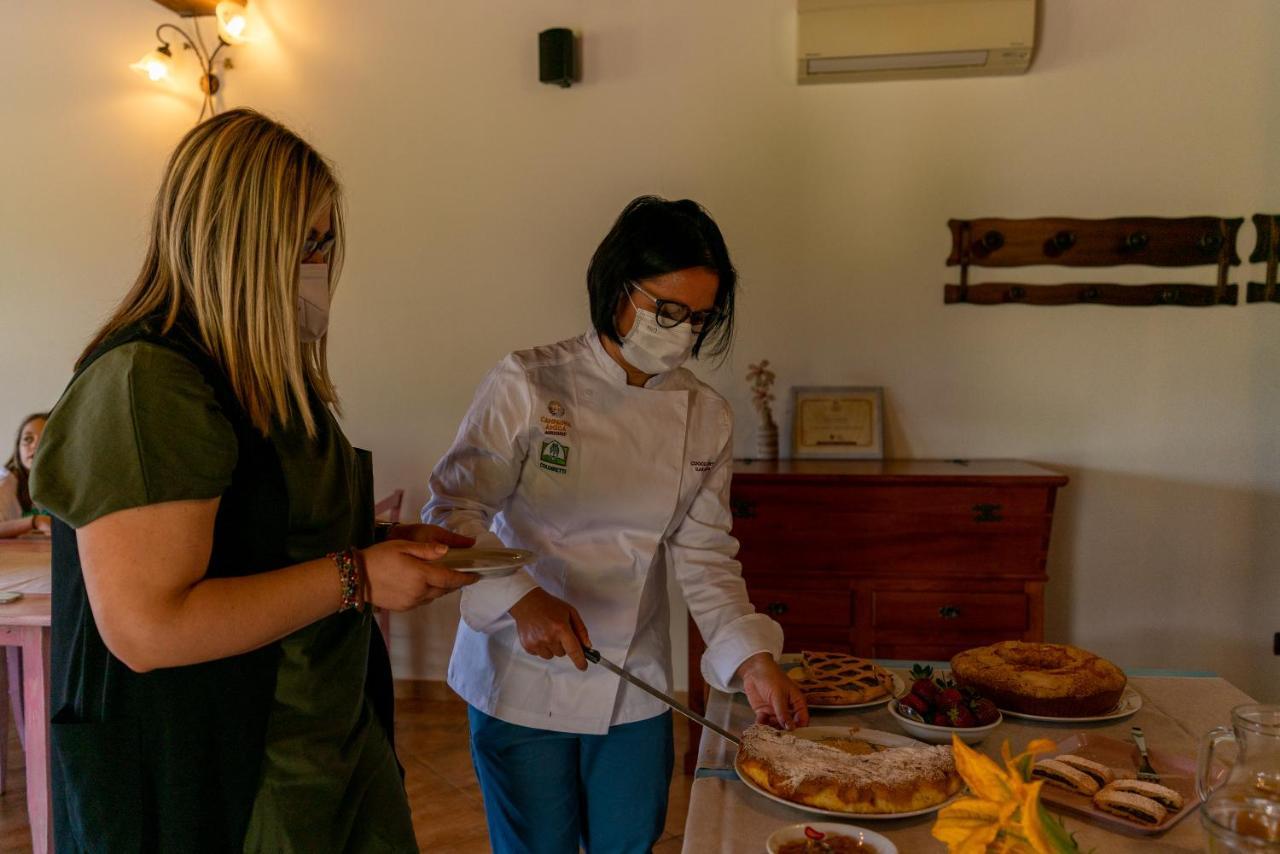 Agriturismo La Banchella Scarlino Bagian luar foto